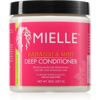 Mielle Babassu & Mint balsam hidratant