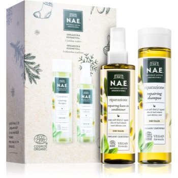 N.a.e. riparazione set cadou (pentru păr)