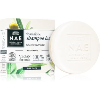 N.A.E. Riparazione șampon solid pentru par uscat Online Ieftin accesorii