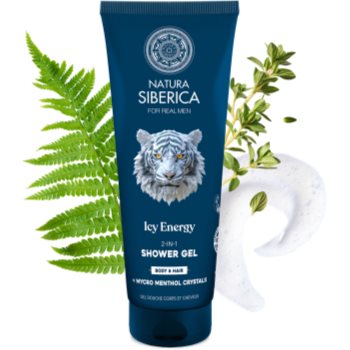 Natura Siberica Arctic Wild Icy Energy 2 in 1 gel de dus si sampon - 1 | YEO