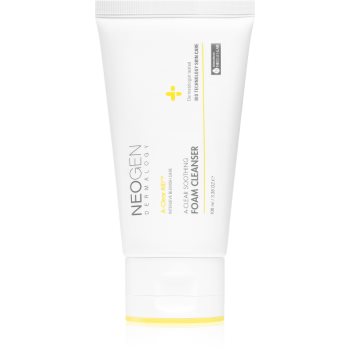 Neogen Dermalogy A-Clear Soothing Foam Cleanser spuma de curatare revigoranta pentru ten acneic