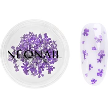 NEONAIL Dried Flowers flori uscate pentru unghii