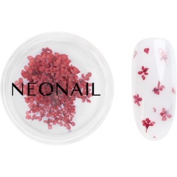 NEONAIL Dried Flowers flori uscate pentru unghii