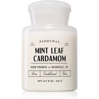Paddywax Farmhouse Mint Leaf & Cardamom lumânare parfumată (Apothecary)