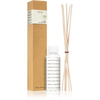 Paddywax eco green thyme & olive leaf reumplere în aroma difuzoarelor