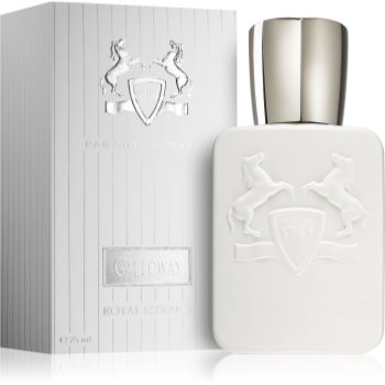 Parfums De Marly Galloway Eau de Parfum unisex - 1 | YEO