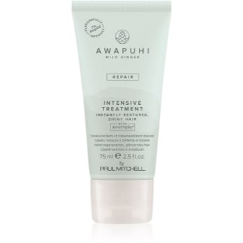 Paul Mitchell Awapuhi Wild Ginger Repair Intevsive Treatment tratament intensiv pentru par pentru par deteriorat