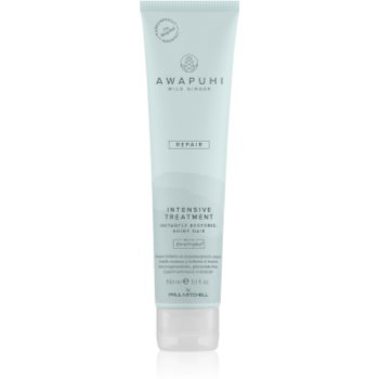 Paul Mitchell Awapuhi Wild Ginger Repair Intevsive Treatment tratament intensiv pentru par pentru par deteriorat