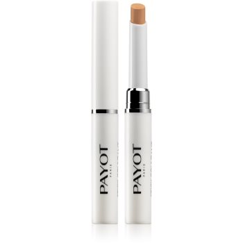 Payot pâte grise stick couvrant baton corector