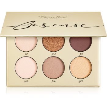 Pierre René Professional 6th Sense paleta farduri de ochi 6th imagine noua
