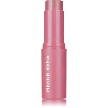 Pierre René Blush Me Stick рум'яна у формі стіку відтінок 04 Blush Mauve 10.5 гр