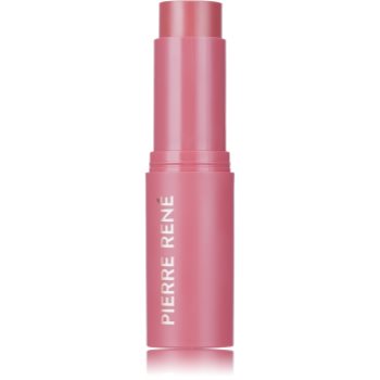 Pierre René Blush Me Stick рум'яна у формі стіку відтінок 05 Cherry Lady 10.5 гр