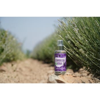 Purity Vision BIO Lavender apă de lavandă - 1 | YEO