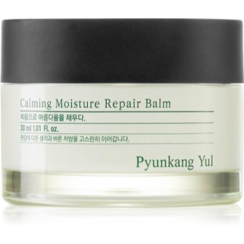 Pyunkang Yul Calming Moisture Repair Balm Balsam de buze regenerator di hidratant pentru piele sensibilă