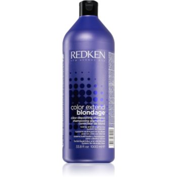 Redken Color Extend Blondage șampon pentru neutralizarea tonurilor de galben