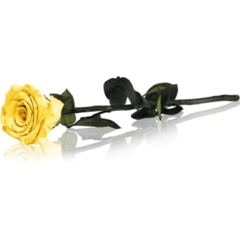 RoseAmor Yellow trandafir stabilizat pe tulpină 30 cm