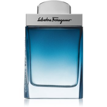 Ferragamo Subtil Pour Homme Eau de Toilette pentru bărbați