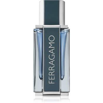 Ferragamo Ferragamo Intense Leather Eau de Parfum pentru bărbați