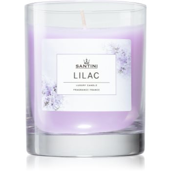 SANTINI Cosmetic Lilac lumânare parfumată - 1 | YEO