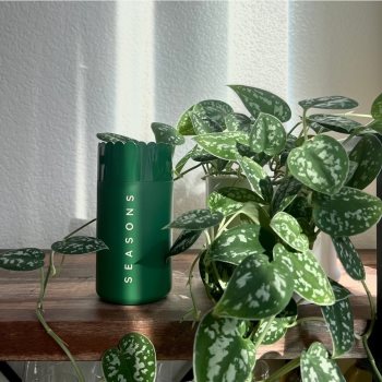SEASONS Aero Mini Pro nebulizator Jade - 1 | YEO