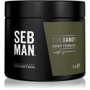 Sebastian Professional SEB MAN The Dandy alifie pentru par pentru o fixare naturala notino.ro