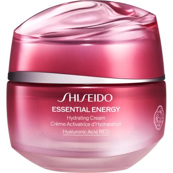 Shiseido Essential Energy Hydrating Cream crema puternic hidratanta Accesorii