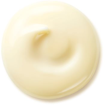 Shiseido Benefiance Wrinkle Smoothing Day Cream crema de zi anti-rid SPF 25 - 1 | YEO