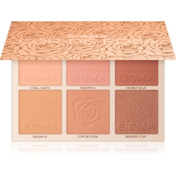 Sigma Beauty Cor-de-Rosa Blush Palette paleta fard de obraz accesorii imagine noua