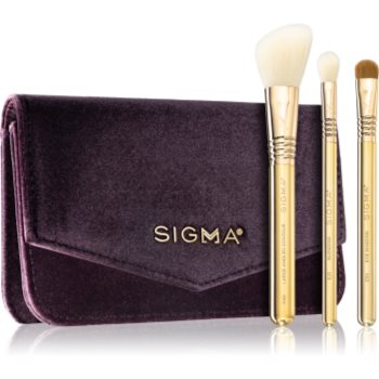 Sigma Beauty Elite Essential Trio Brush Set set de călătorie cu pensule (pentru față și ochi) accesorii imagine noua