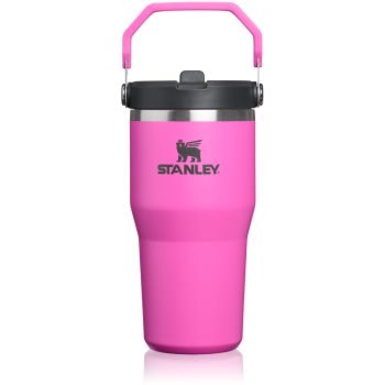 Stanley Quencher H2.O FlowState™ Tumbler pahar din oțel inoxidabil cu pai mic (STYXHUT_IVFX03)