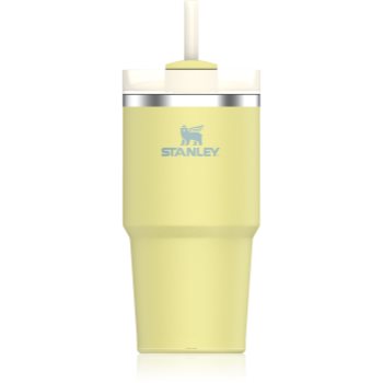 Stanley Quencher H2.O FlowState™ Tumbler pahar din oțel inoxidabil cu pai mic
