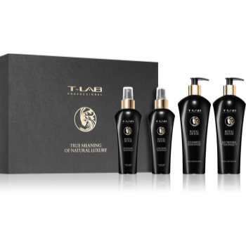 T-LAB Professional Royal Detox set cadou (pentru păr) accesorii imagine noua