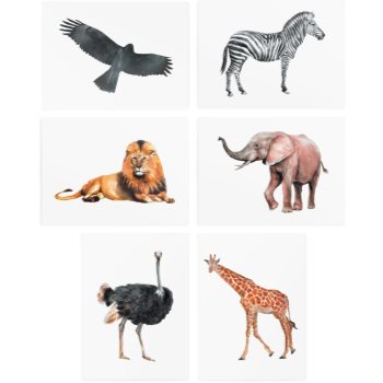 TATTonMe Temporary Tattoos Set Animals tatuaj pentru copii