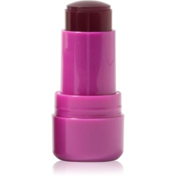 Technic Cosmetics Jelly Tint blush stick buze si obraz
