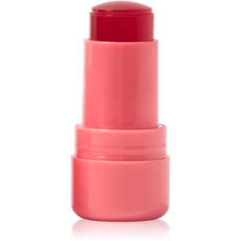 Technic Cosmetics Jelly Tint blush stick buze si obraz