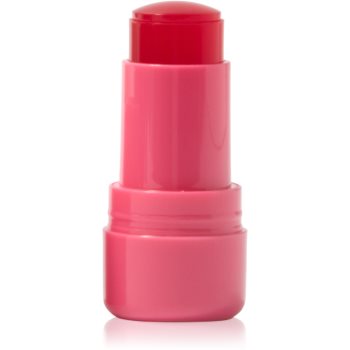Technic Cosmetics Jelly Tint blush stick buze si obraz