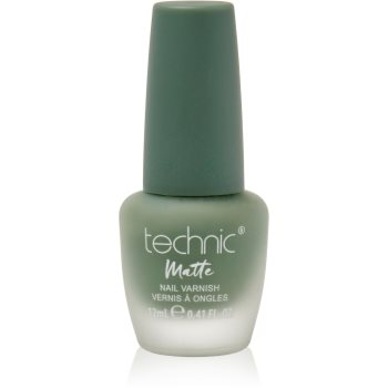 Technic Cosmetics Matte Nail Varnish lac de unghii cu rezistenta indelungata cu efect matifiant