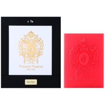 Tiziana terenzi spicy snow lumanari parfumate 10 cm