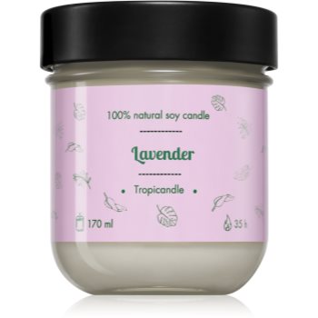 Tropicandle Lavender lumânare parfumată