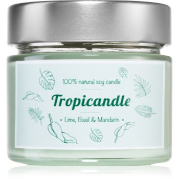 Tropicandle lime, basil & mandarin lumânare parfumată