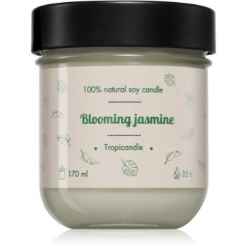 Tropicandle Blooming Jasmine lumânare parfumată