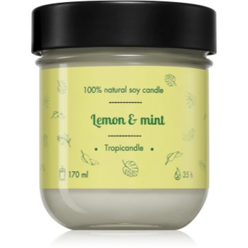 Tropicandle Lemon & Mint lumânare parfumată