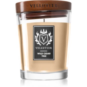 Vellutier Wild Cedar Tree lumânare parfumată Cedar imagine noua