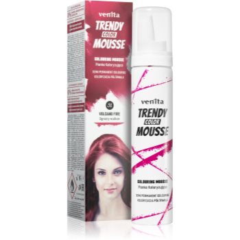 Venita Trendy Color Mousse vopsea de par sub forma de spuma fără amoniac