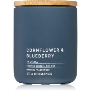 Vila Hermanos Concrete Cornflower & Blueberry lumânare parfumată notino.ro