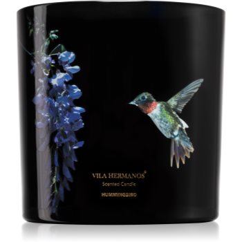 Vila Hermanos Jungletopia Hummingbird lumânare parfumată notino.ro imagine noua