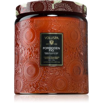 VOLUSPA Japonica Forbidden Fig lumânare parfumată