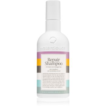 Waterclouds Repair Shampoo șampon de îngrijire delicată