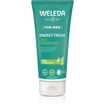 Weleda Energy Fresh 3in1 gel de curatare 3 in 1 pentru par si corp