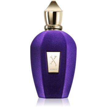 Xerjoff Accento Eau de Parfum unisex Accento